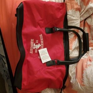 Disneyland carry on bag
